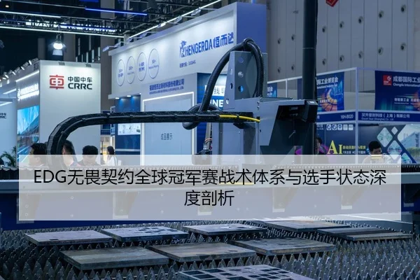 EDG无畏契约全球冠军赛战术体系与选手状态深度剖析